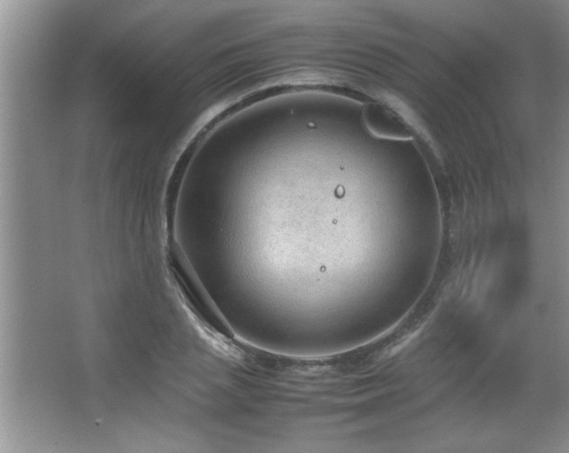 X0000067870837200604131234