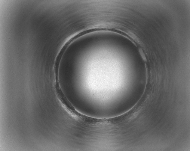 X0000067870838200604131234