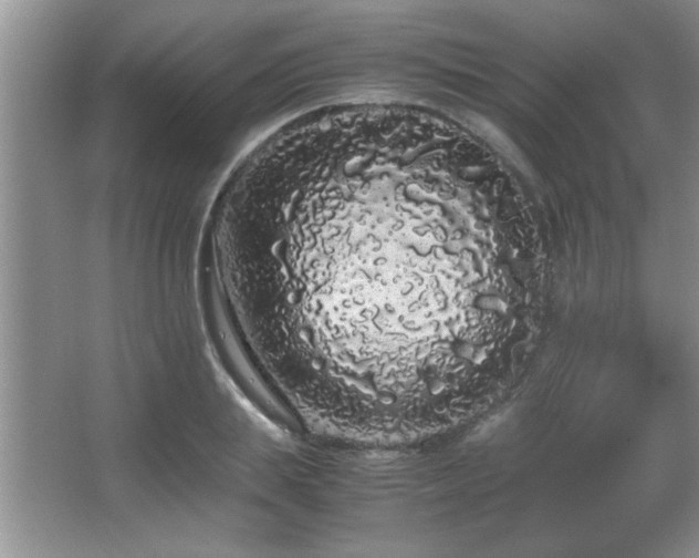 X0000067870839200604131234