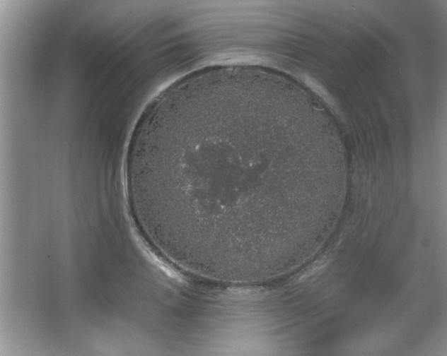 X0000067870840200604131234