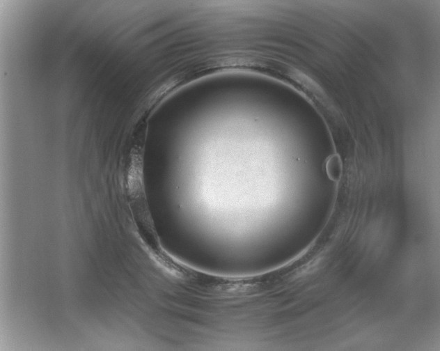 X0000067870841200604131234