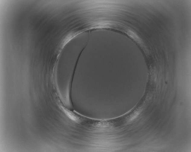 X0000067870842200604131234