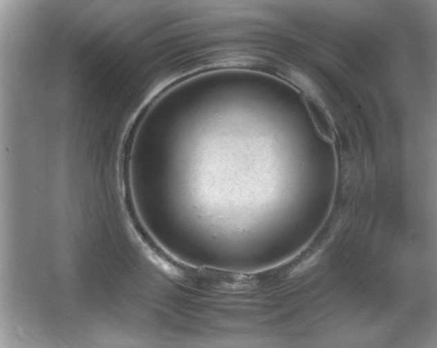 X0000067870843200604131234