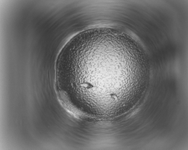 X0000067870844200604131234