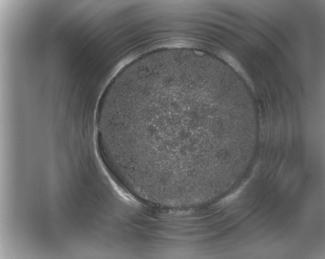 X0000067870845200604131234