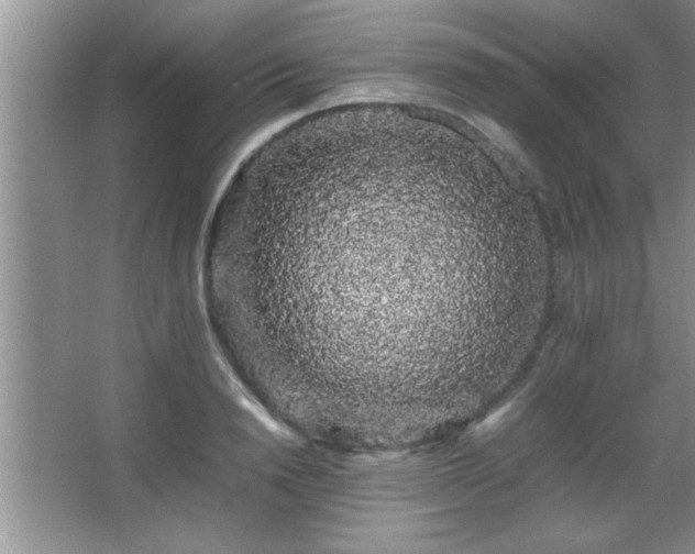 X0000067870846200604131234