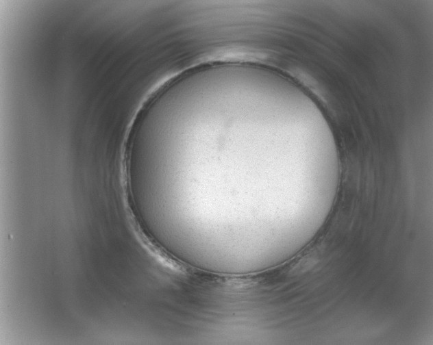 X0000067870848200604131234