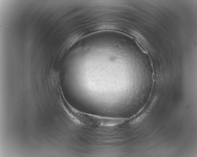 X0000067870849200604131234