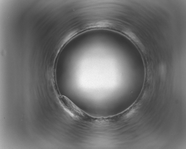 X0000067870850200604131234