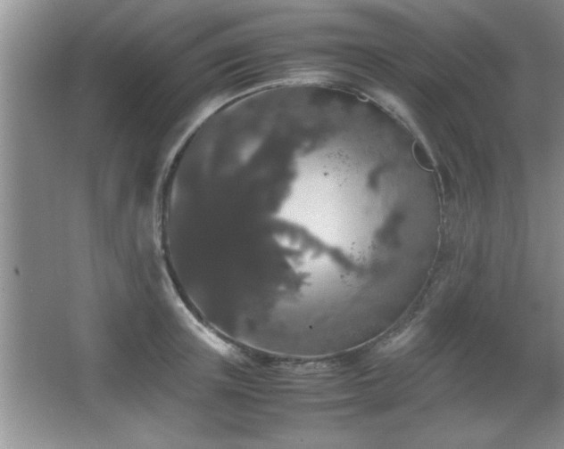 X0000067870851200604131234