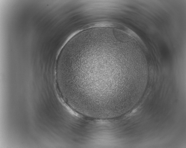 X0000067870852200604131234