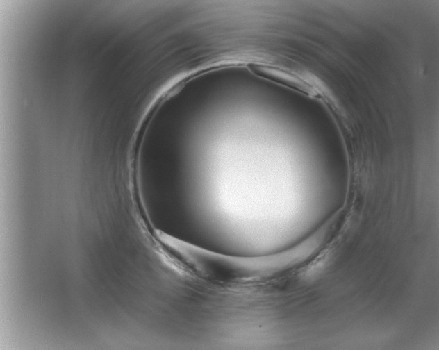 X0000067870854200604131234