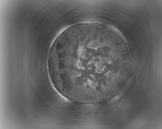 X0000067870855200604131234