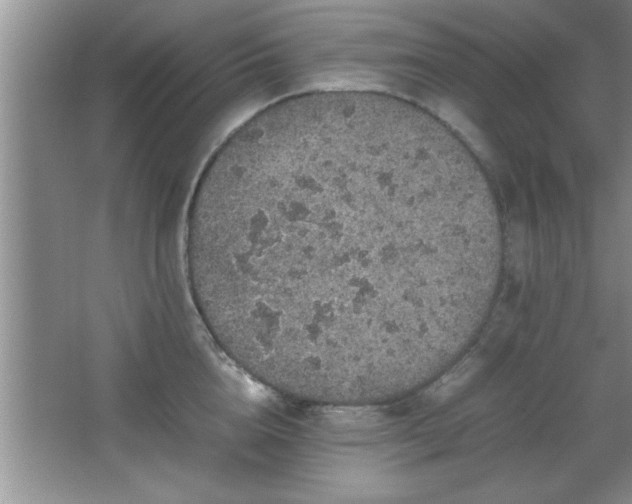 X0000067870856200604131234