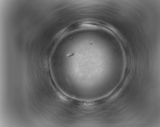 X0000067870857200604131234