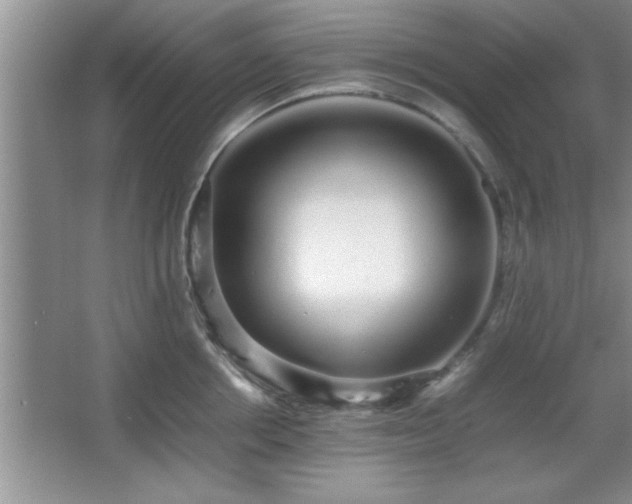 X0000067870858200604131234