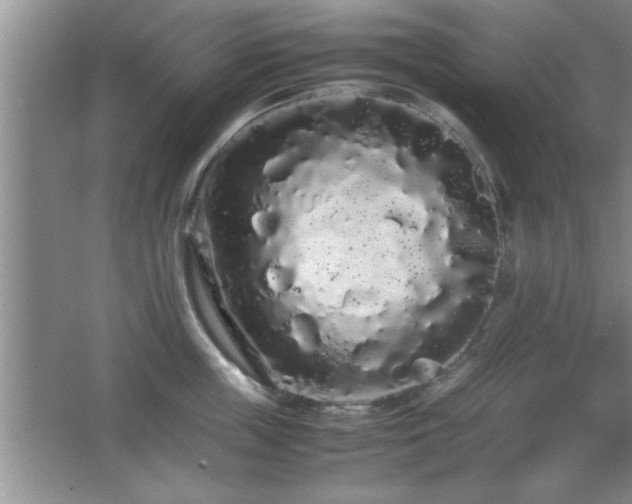 X0000067870859200604131234