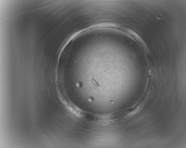 X0000067870860200604131234