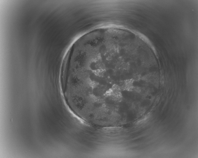 X0000067870863200604131234