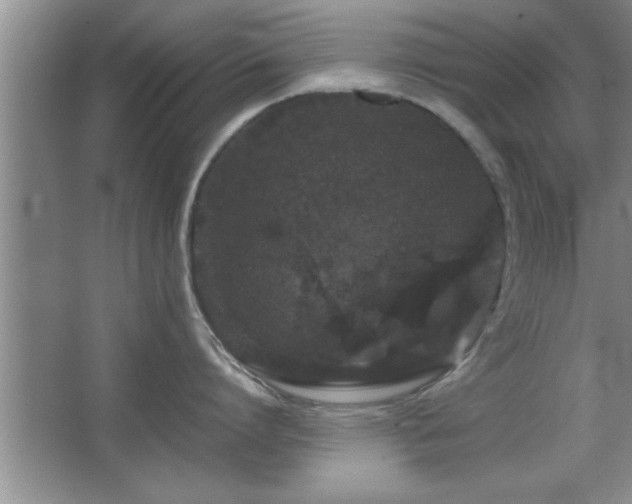 X0000067870864200604131234