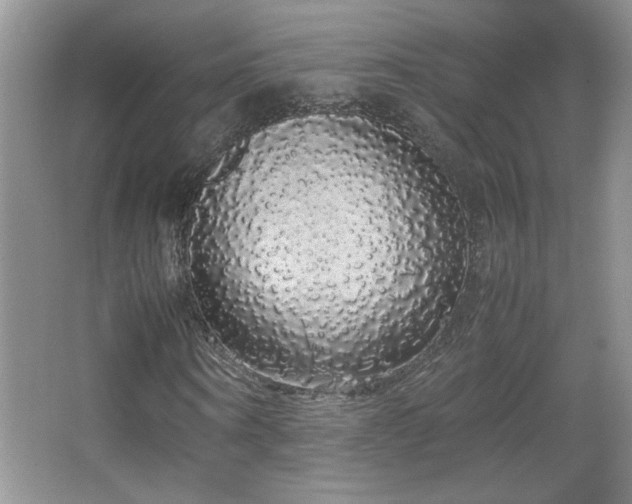 X0000067870866200604131233