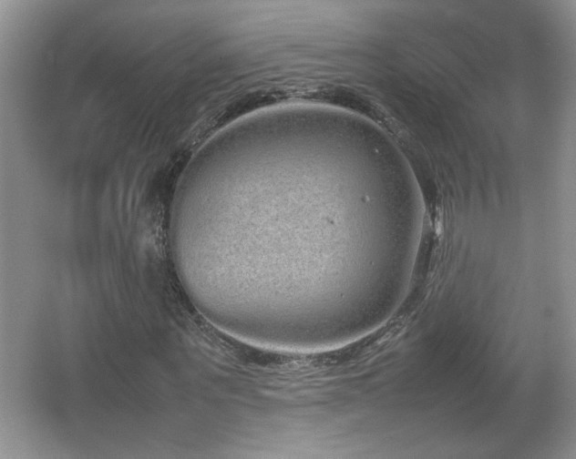 X0000067870867200604131233