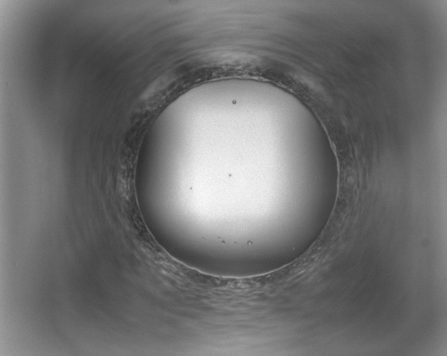 X0000067870869200604131233