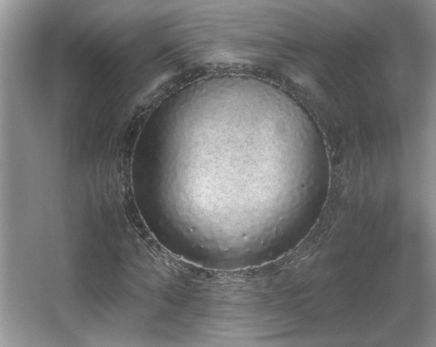 X0000067870870200604131233