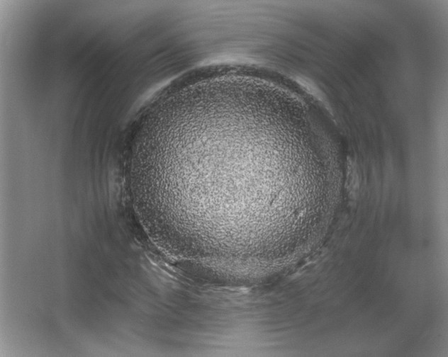 X0000067870872200604131233