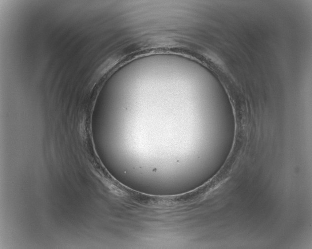 X0000067870873200604131233