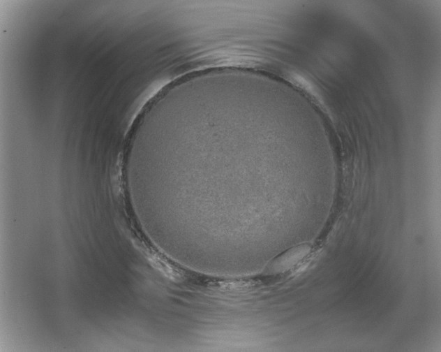 X0000067870875200604131233