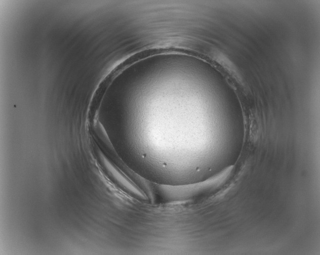 X0000067870876200604131233