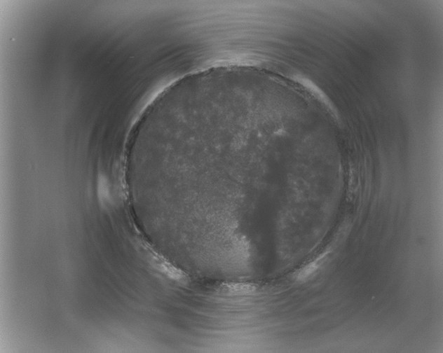 X0000067870878200604131233