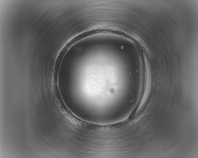 X0000067870880200604131233