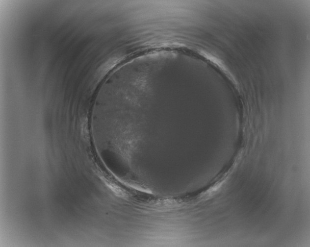 X0000067870881200604131233