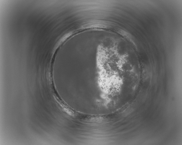 X0000067870882200604131233