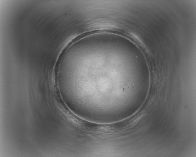 X0000067870883200604131233