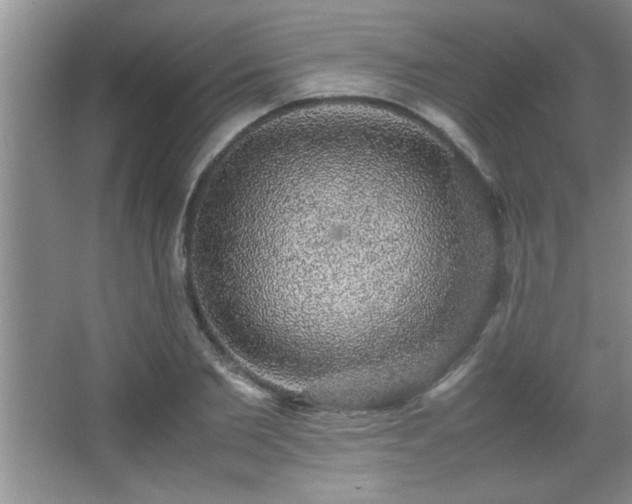 X0000067870885200604131233