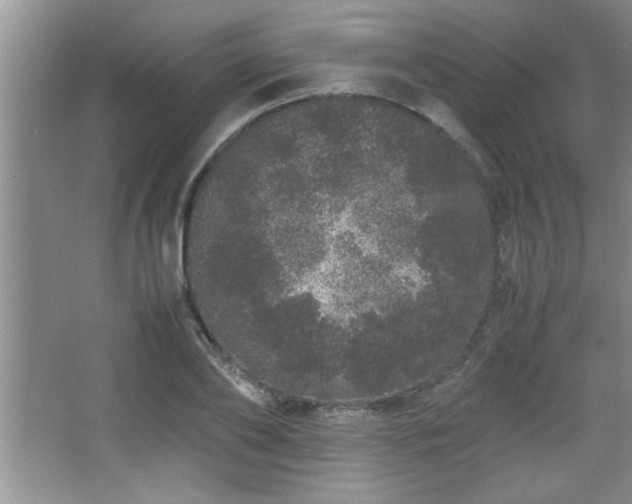 X0000067870886200604131233