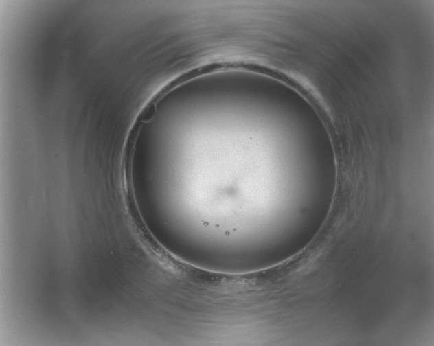 X0000067870887200604131233