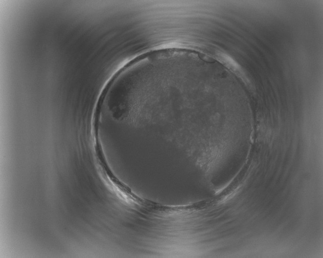 X0000067870892200604131233