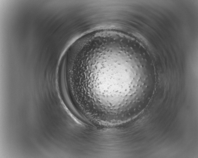 X0000067870894200604131233