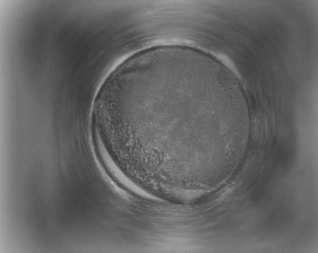 X0000067870895200604131233