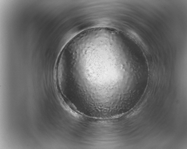 X0000067870900200604131233