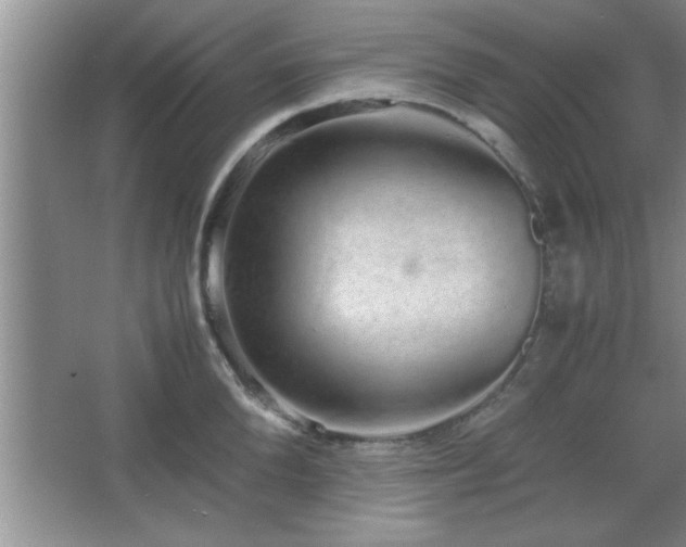 X0000067870904200604131233