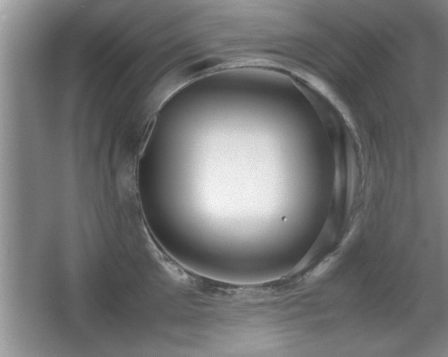 X0000067870905200604131233