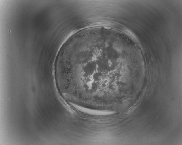 X0000067870907200604131233