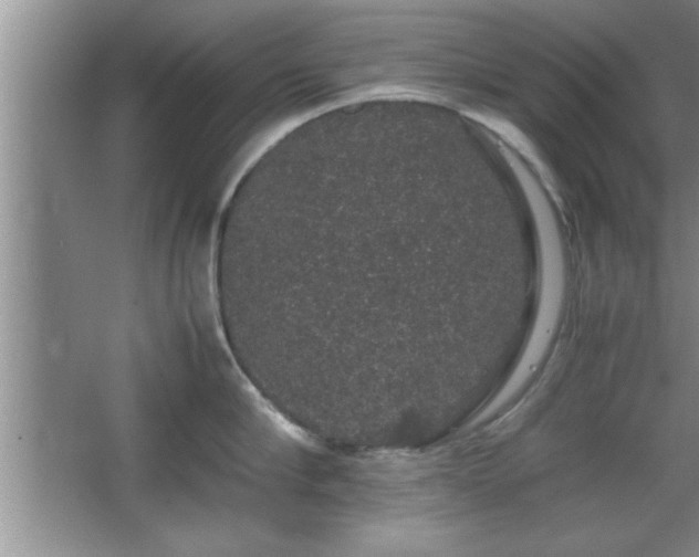 X0000067870910200604131233