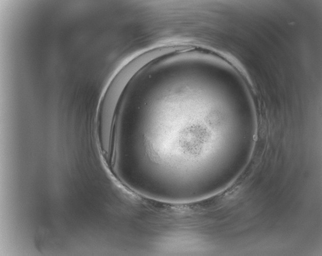 X0000067870911200604131233