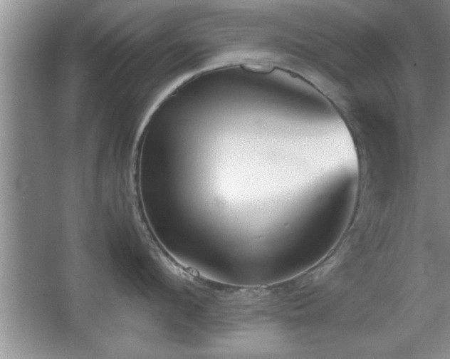 X0000067870912200604131233